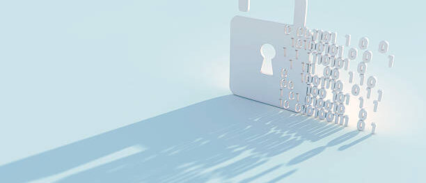 Data Encryption Laws