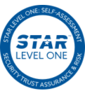 Star Level One - Ververica Star Level One - Ververica