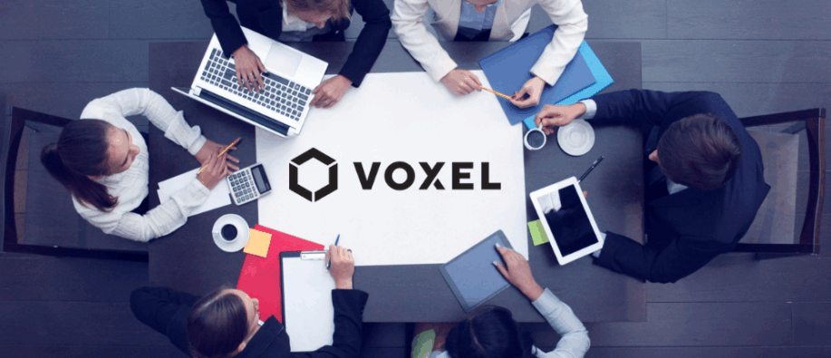 Voxel Grows AI Safety Globally Voxel Grows AI Safety Globally