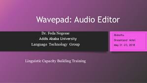 WavePad Sound Editor 9.34 Crack With Activation Key Free Download 2019