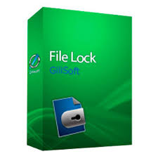GiliSoft File Lock Pro Crack